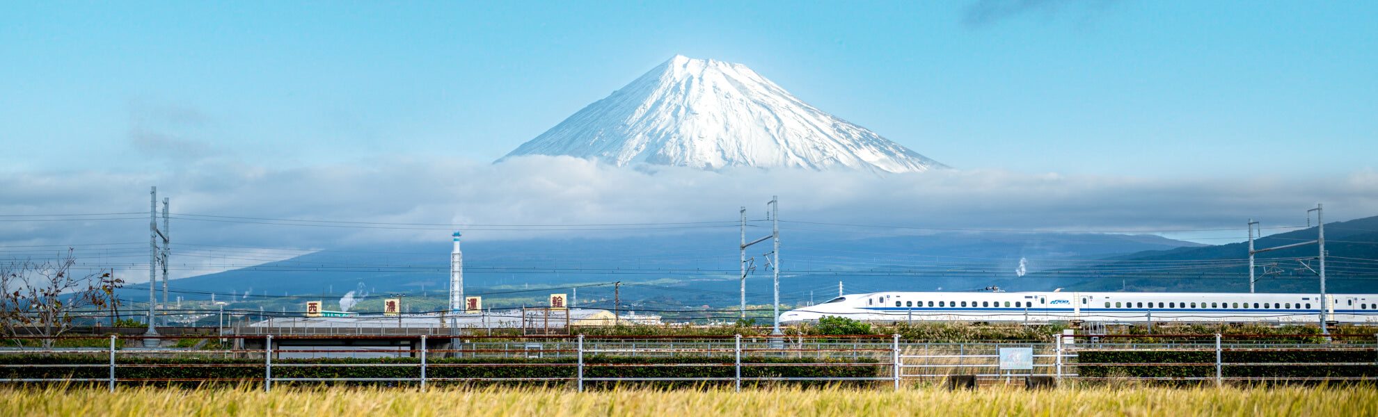 Image of Sightseeing